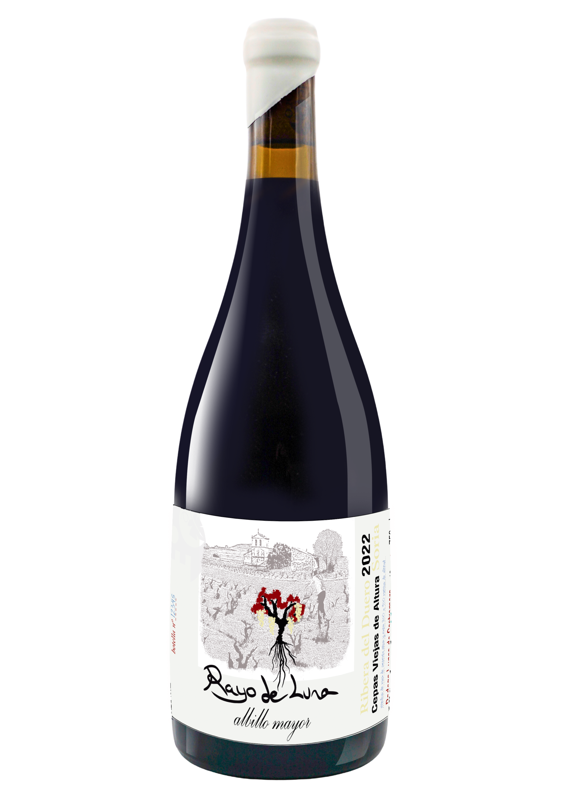 Rayo De Luna Albillo Mayor