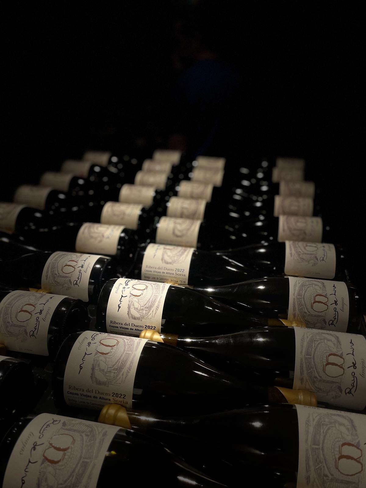 Vinos en fondo negro Vinos en fondo negro